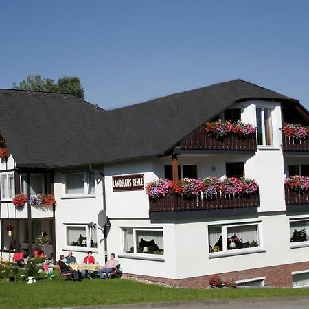 Landhaus Behle Willingen  Exterior photo